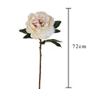 Set 4 Peonia Artificiale anticata Singola Altezza 72 cm 