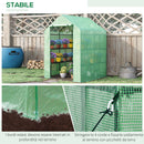 Serra da Giardino con Scaffali 143x138x190 cm in PE e Porta Avvolgibile Verde