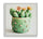 Stampa su Tela Laccata con Cornice Vasetto Cactus 40x2,8x40 cm in Pino e Tela e Plastica