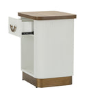 Comodino Tolosa 48x40x62 cm in MDF e Frassino e Ferro      