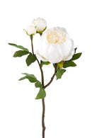 Set 6 Peonia Artificiale Romance con 3 Fiori Altezza 49 cm 