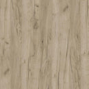 Scrivania Nasdaq 120x55x75/91 h cm in Truciolare bilaminato Bianco e Olmo