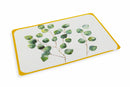 Set 6 Tovagliette 45x30 cm in Plastica Villa d'Este Home Tivoli Oriental Botanique