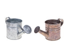 Set 2 Annaffiatoi 15 cm in Ferro
