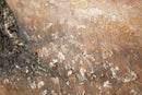 Dipinto su Tela Olivo 120x3,8x80 cm in Pino e Tela      