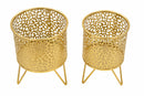 Porta Vasi Piny Coppia Ø16x20 cm - Ø13x20 cm in Ferro Oro      