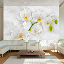 Fotomurale - Lirica Orchidea - Bianco 300X210 cm Carta da Parato Erroi