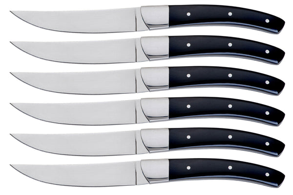 Set 6 Coltelli da Bistecca Lama Liscia Manico in Plastica Tyson Nero prezzo
