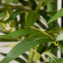 Pianta Artificiale di Bambù 180 cm Pianta Finta Realistica con Vaso Decorativo in Bambù e Plastica Verde      