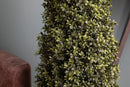 Foglie di Bosso Cono H 145 cm