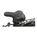 Fat-Bike Bicicletta Elettrica Pieghevole 36V a Pedalata Assistita 20"" 250W Nera