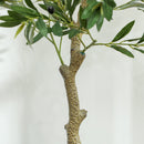 Pianta Artificiale di Ulivo 120 H cm con 450 Foglie e 20 Olive Vaso Incluso  