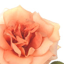 Set 4 Rose Artificiali Aperta Altezza 50 cm 