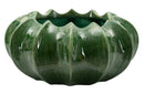 Cachepot Cactus Ø31x16 cm in Ceramica Verde      