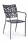 Sedia con Braccioli Kelsie Antracite in Metallo