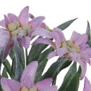 Set 2 Piante di Stella Alpina Artificiali Composta da 9 Fiori Altezza 25 cm Rosa