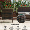 Set da Giardino con Divano 2 Posti 2 Sedie e Tavolino Basso in Rattan e Acciaio Grigio e Marrone      
