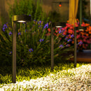 Set 8 Faretti da Esterno a Energia Solare 12x10x46 cm LED a 3000K IP44 in PP Nero  