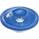 Fontana Gallegiante per Piscina con Luci a LED Multicolore Flowclear Bestway 58493