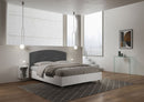 Letto Matrimoniale Antilia Grigio Varie Misure