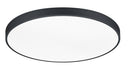 Plafoniera da Interno a LED in Metallo Nero Opaco