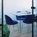 Set 4 Sedie Imbottite 38x43x74 cm in Vellluto Velvet Bronzo e Oro