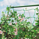 Supporto per Piante Rampicanti 101x133x227 cm a Livelli Regolabili con Rete in Acciaio PE e PP Verde  