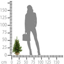 Mini Albero di Natale Artificiale H65 cm Abete con Pigne 65 Tips Verde