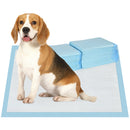 Set 80 Tappetini Assorbenti Traversine Igieniche 60x60 cm a 6 Strati 