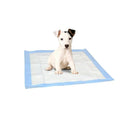 Set 10 traverse assorbenti 60x60 cm per cani e gatti cattura odori