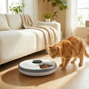 Distributore Automatico Cibo Gatti e Cani con Timer e Display LED 1-6 Pasti Giornalieri per Cibo Secco e Umido Bianco e Grigio      