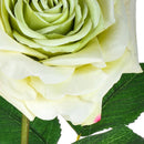 Set 4 Rose Artificiali Aperta Altezza 79 cm Verde