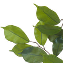 Set 12 Rami di Ficus Artificiale con 42 Foglie Altezza 60 cm Verde