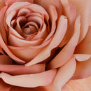 Set 4 Rose Artificiali Madonna Altezza 70 cm 