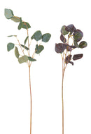 Set 8 Rami di Eucalyptus Artificiale Altezza 78 cm Multicolore