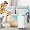 Deumidificatore Portatile da 10L 5 Modalità e Timer 25x25x50,5 cm Bianco  