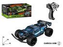 Auto Radiocomandata Tempest Scala 1/14 con Batteria Ricaricabile e Luci      