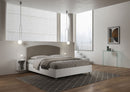 Letto Matrimoniale con Rete e Contenitore Alzata Comoda Struttura Bianco Frassico e Testata in Similpelle Antilia Cappuccino Varie Misure