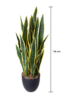 Pianta Artificiale Sanseveria con Vaso 78 cm 