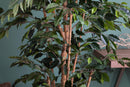 Ficus Artificiale con 1296 Foglie con Vaso Altezza 180 cm Verde