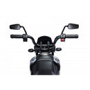 Moto Elettrica per Bambini Aprilia RX-125 Small 12V Cross Sedili In Pelle Luci Led Bluetooth Sospensioni a Molla Rosso