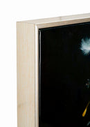 Dipinto su Tela Laccato Dancing con Cornice 72x4x102 cm in Pino e Tela e Plastica      