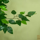 Pianta Artificiale di Ficus da Interno e Esterno H150 cm con Vaso Verde