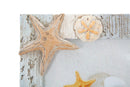 Cornice Shell 20,4x3,2x26,3 cm in Poliresina-6